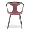 FOX Dining Armchair Wood+PPE - TB Contract Furniture PEDRALI
