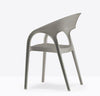 GOSSIP Dining Armchair - TB Contract Furniture PEDRALI