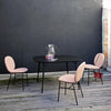 KELLY C Dining Chair - TB Contract Furniture TACCHINI