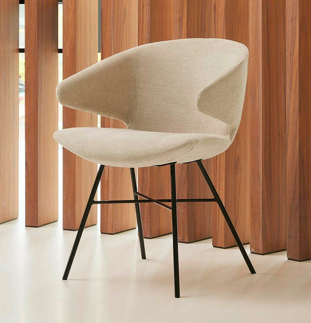 Indoor Dining Chairs Ergonomia Furniture