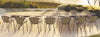 Wire Majestic Dining Table 400x150 w/ 13 mm Xeramica Top - TB Contract Furniture JOLI